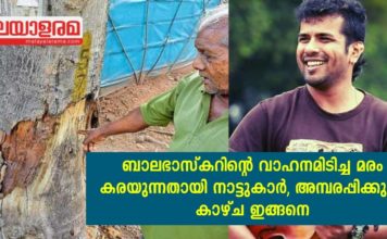 ബാലഭാസ്കറിന്റെ വാഹനമിടിച്ച മരം കരയുന്നതായി നാട്ടുകാർ; അമ്പരപ്പിക്കുന്ന കാഴ്ച ഇങ്ങനെ..!!