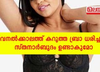 വേനൽ കാലത്ത് കറുത്ത ബ്രാ ധരിച്ചാൽ സ്തനാർബുദം ഉണ്ടാകും; സത്യാവസ്ഥ ഇതാണ്..!!