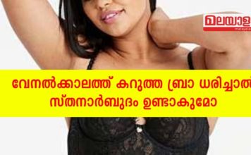 വേനൽ കാലത്ത് കറുത്ത ബ്രാ ധരിച്ചാൽ സ്തനാർബുദം ഉണ്ടാകും; സത്യാവസ്ഥ ഇതാണ്..!!