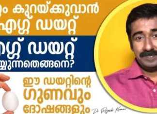 ശരീര ഭാരം കുറക്കാനുള്ള എഗ്ഗ് ഡയറ്റ് എങ്ങനെ ചെയ്യണം; അതിന്റെ ഗുണങ്ങളും ദോഷങ്ങളും..!!