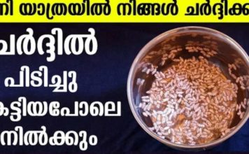 ഇനി യാത്രക്ക് ഇടയിൽ ഛർദ്ദിക്കും എന്ന ഭയം വേണ്ട; ഛർദ്ദി പിടിച്ചു കിട്ടിയപോലെ നിൽക്കും; കുട്ടികൾക്കും ഗർഭിണികൾക്കും ഒരുപോലെ കഴിക്കാം..!!