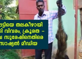 മരപ്പട്ടിയെ പിടികൂടി തലകീഴായി തൂക്കിയിട്ട് വിവരണം; വാവ സുരേഷിനെതിരെ കേസെടുക്കണമെന്ന് സാമൂഹിക മാധ്യമങ്ങൾ..!!