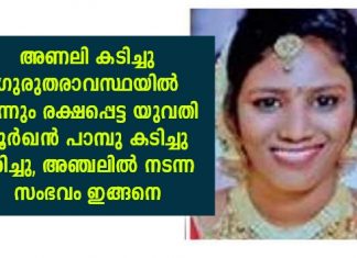 അണലി കടിച്ചപ്പോൾ രക്ഷപെട്ടു; പക്ഷെ വിധി മൂർഖന്റെ രൂപത്തിലെത്തി ജീവനെടുത്തു; അഞ്ചലിൽ യുവതിക്ക് സംഭവിച്ചത്; നാട്ടുകാർക്ക് അമ്പരപ്പ്..!!