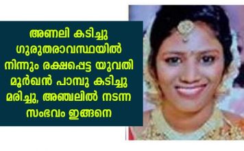 അണലി കടിച്ചപ്പോൾ രക്ഷപെട്ടു; പക്ഷെ വിധി മൂർഖന്റെ രൂപത്തിലെത്തി ജീവനെടുത്തു; അഞ്ചലിൽ യുവതിക്ക് സംഭവിച്ചത്; നാട്ടുകാർക്ക് അമ്പരപ്പ്..!!