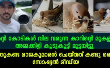 കോടികൾ വിലയുള്ള കാറിൽ അമ്മ കിളി മുട്ട ഇട്ടപ്പോൾ ആ കിളിക്ക് വേണ്ടി വാഹനം ഉപേക്ഷിച്ച രാജകുമാരൻ..!!!